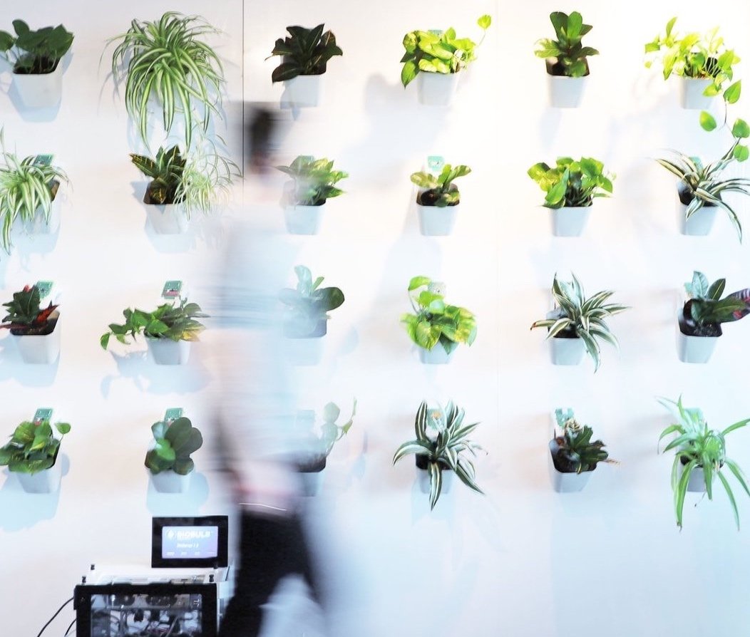 BioBulb plant wall installed in an office, with the control unit below