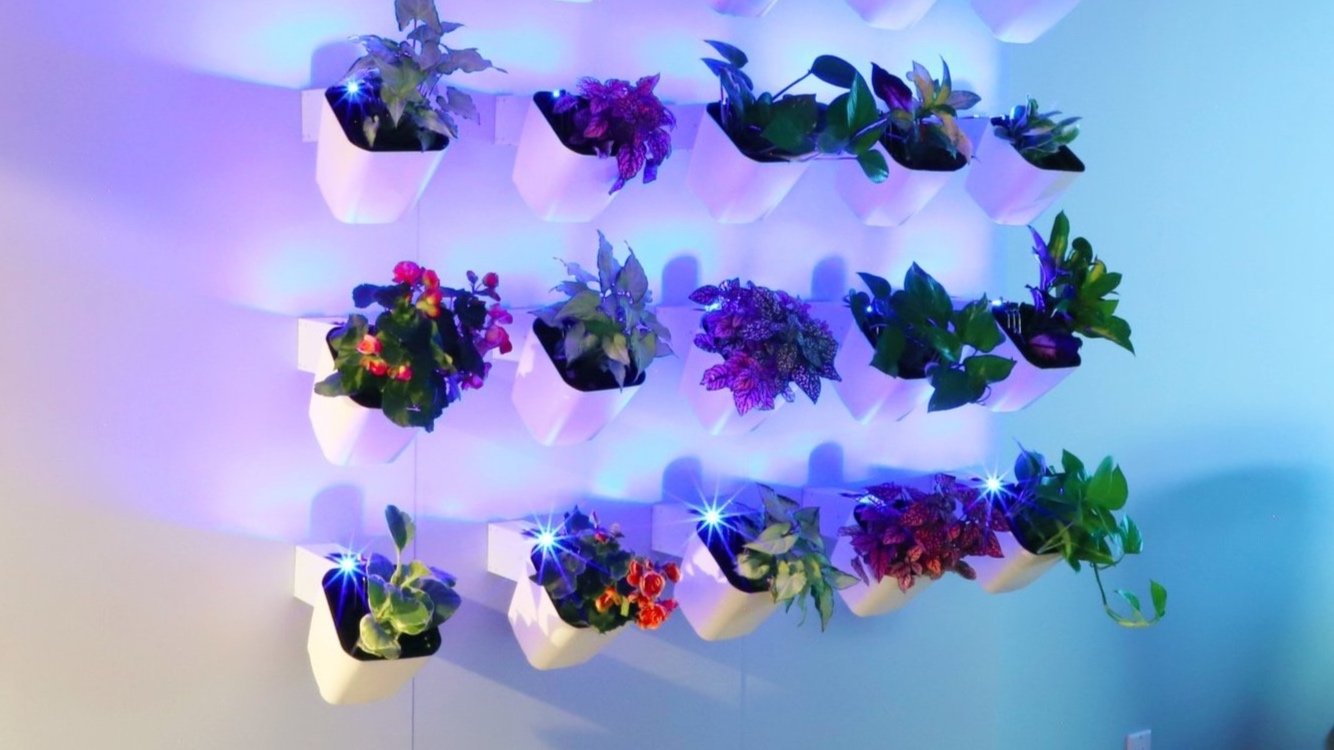The modular plant pods lit by the built-in grow lights