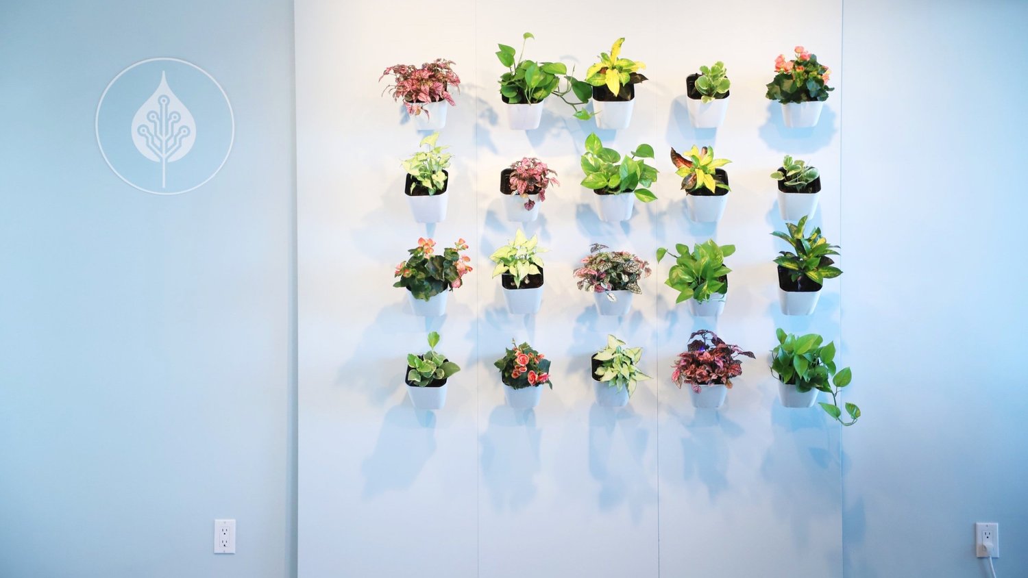 The full vertical garden of 20 modular planter pods